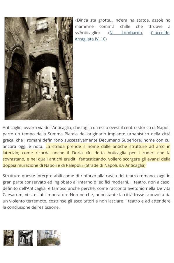 Anticaglia 13 Daire Napoli Dış mekan fotoğraf