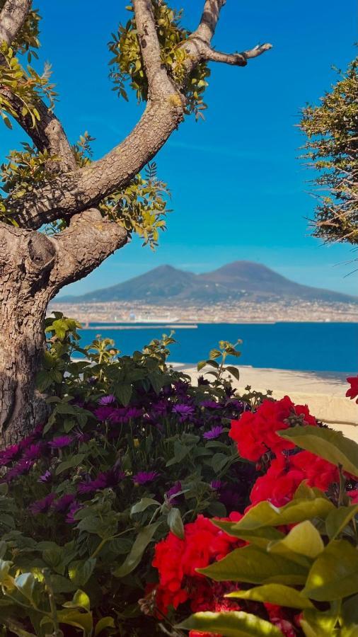 Anticaglia 13 Daire Napoli Dış mekan fotoğraf
